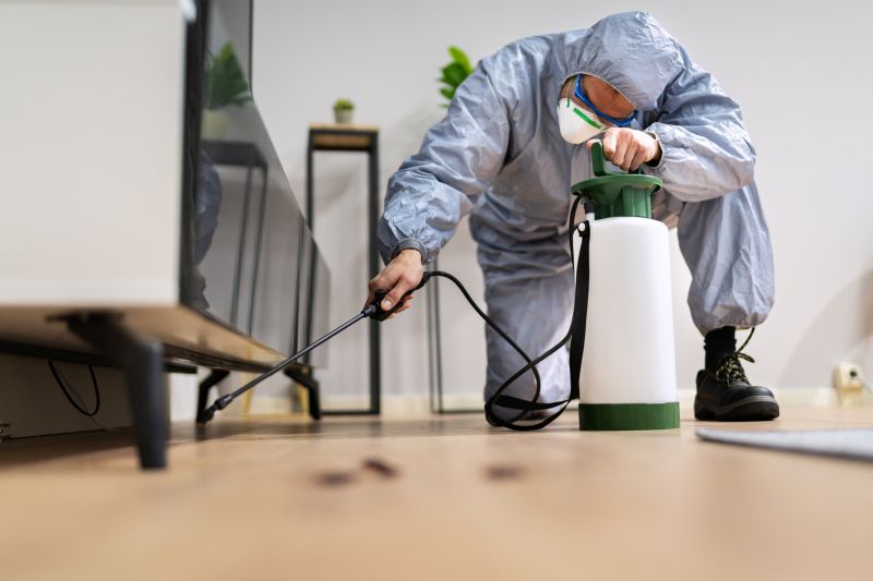 Commercial Fumigation in Katy, TX