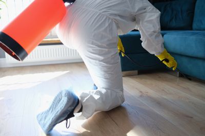 Fumigation Service in Fredericksburg, VA