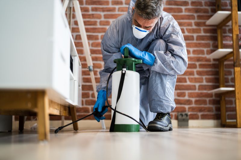 Moth Extermination in Frisco, TX