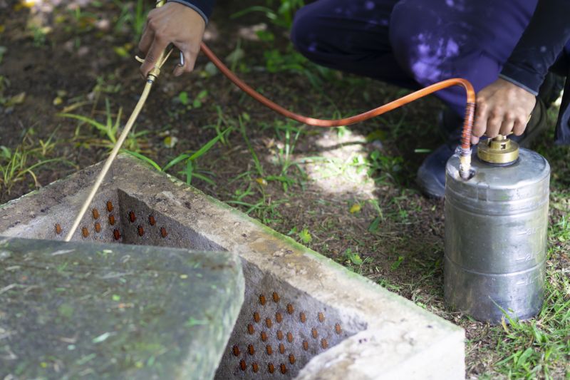 Spider Fumigation Service in Fayetteville, NC