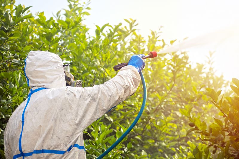 Spider Fumigation Service in Clarksville, TN