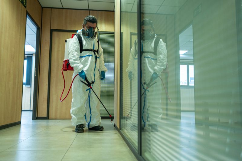 Spider Fumigation Service in Columbus, OH