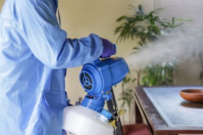 Commercial Fumigation in Fort Collins, CO