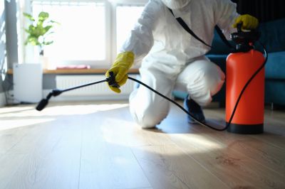 Lawn Insect Spraying in Katy, TX